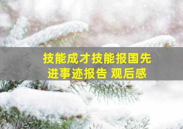 技能成才技能报国先进事迹报告 观后感